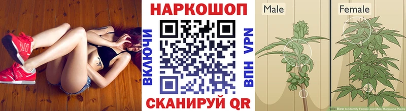 Сколько стоит Игра КОКАИН  Alpha-PVP  Кодеин  МАРИХУАНА  АМФЕТАМИН  БУТИРАТ  ГАШИШ  Меф мяу мяу  Псилоцибиновые грибы 