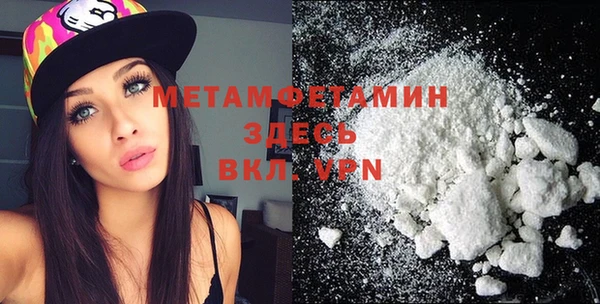 шишки Бородино