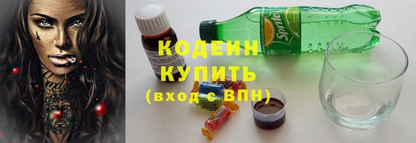 шишки Бородино