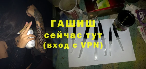 шишки Бородино