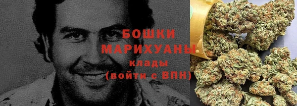 шишки Бородино