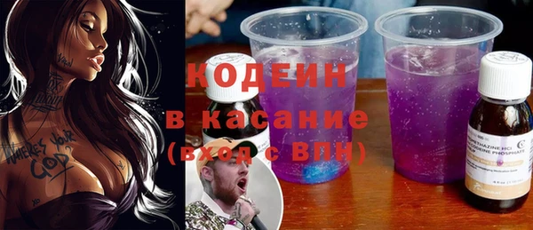 шишки Бородино