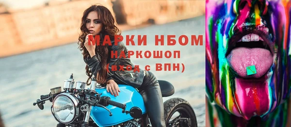 шишки Бородино