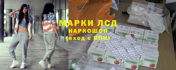 шишки Бородино