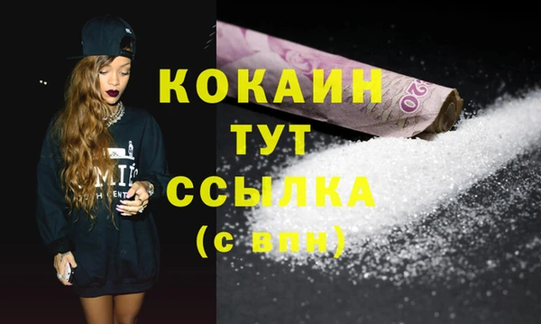 шишки Бородино