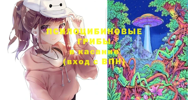 шишки Бородино
