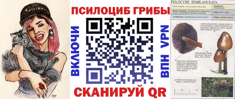 Псилоцибиновые грибы GOLDEN TEACHER  хочу наркоту  Игра 
